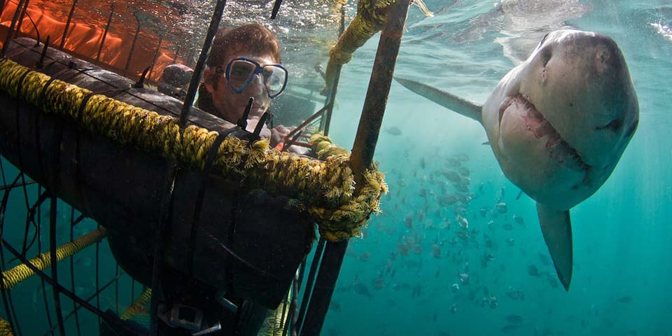 Shark diving boat off Gansbaai with the cage alongside