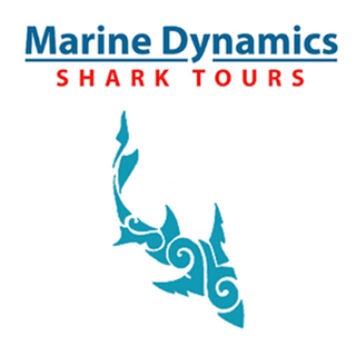 Marine Dynamics